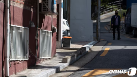 언론보도 이미지